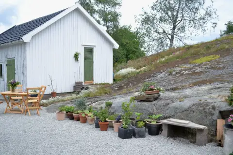 Vitt hus med gröna detaljer och ett bord med stolar. En grusgång leder fram till huset, omgiven av sten och växter.